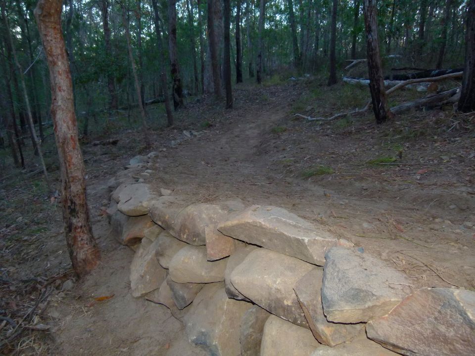 P1140916.jpg